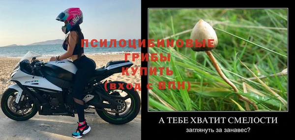 бошки Алексин